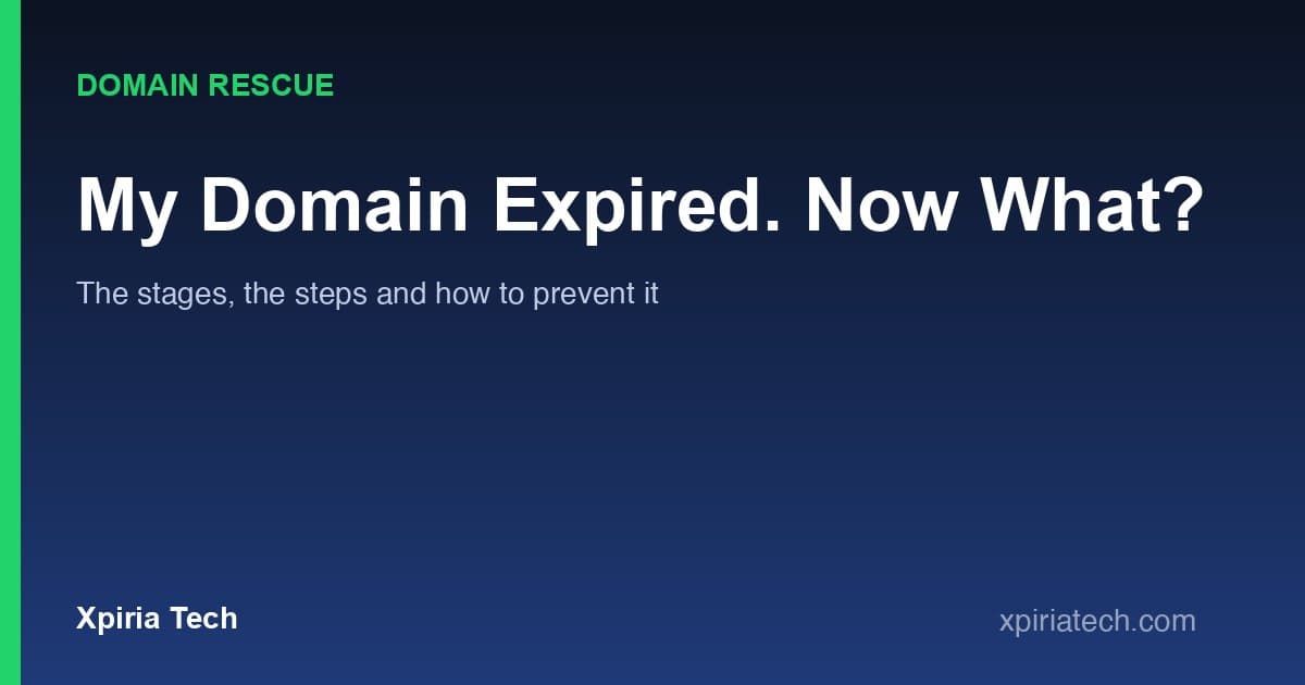 Cover graphic for the article: My Domain Expired: What to Do Now and How to Get It Back